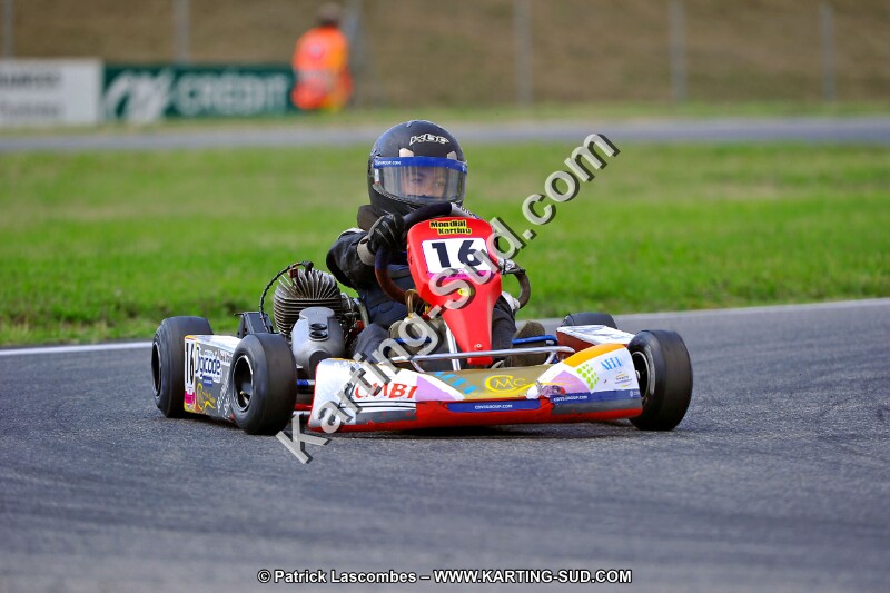DSC_ (639).jpg